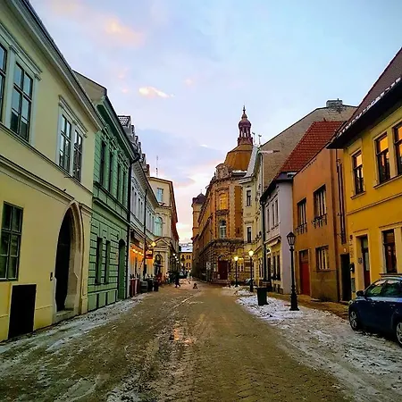 Daire Old Town Podtatranskeho Kösice