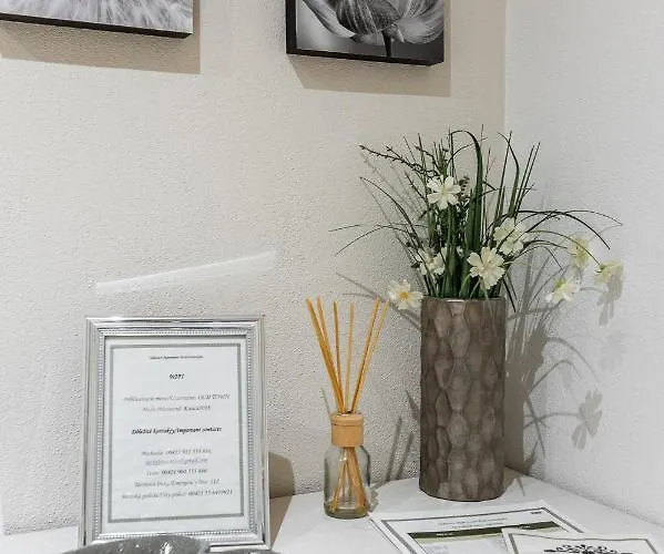 Old Town Podtatranskeho 公寓 *