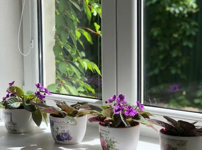 Old Town Podtatranskeho *