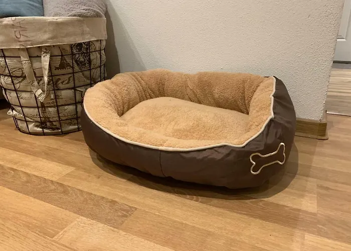 Old Town Podtatranskeho Apartment Košice