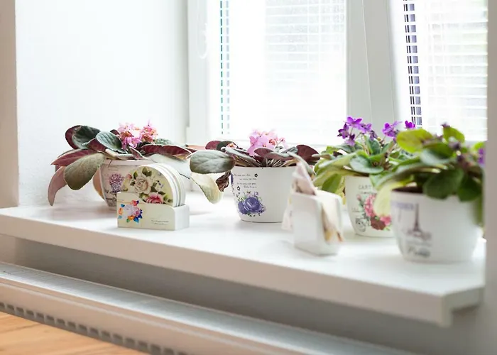 Old Town Podtatranskeho Apartment