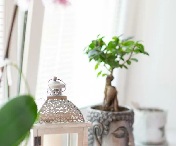 Old Town Podtatranskeho *